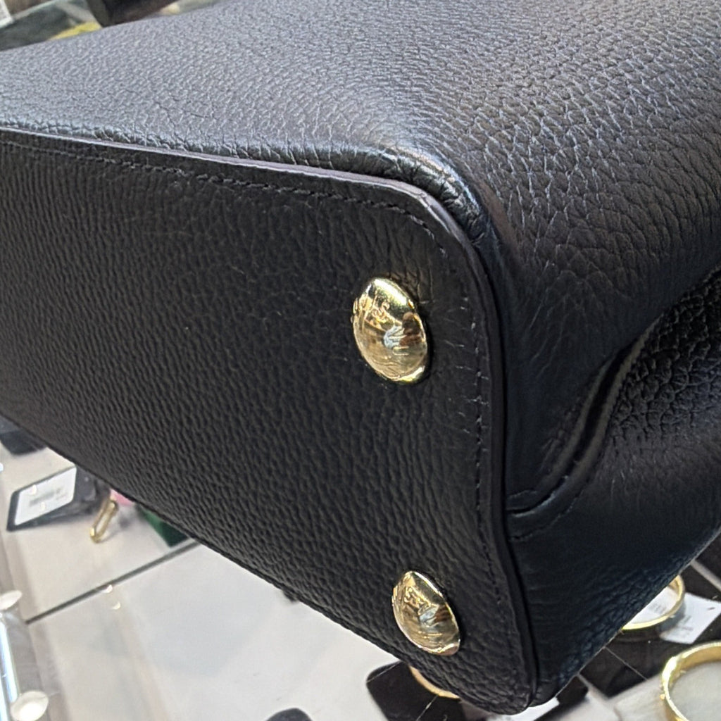 Louis Vuitton Taurillon Leather Capucines PM