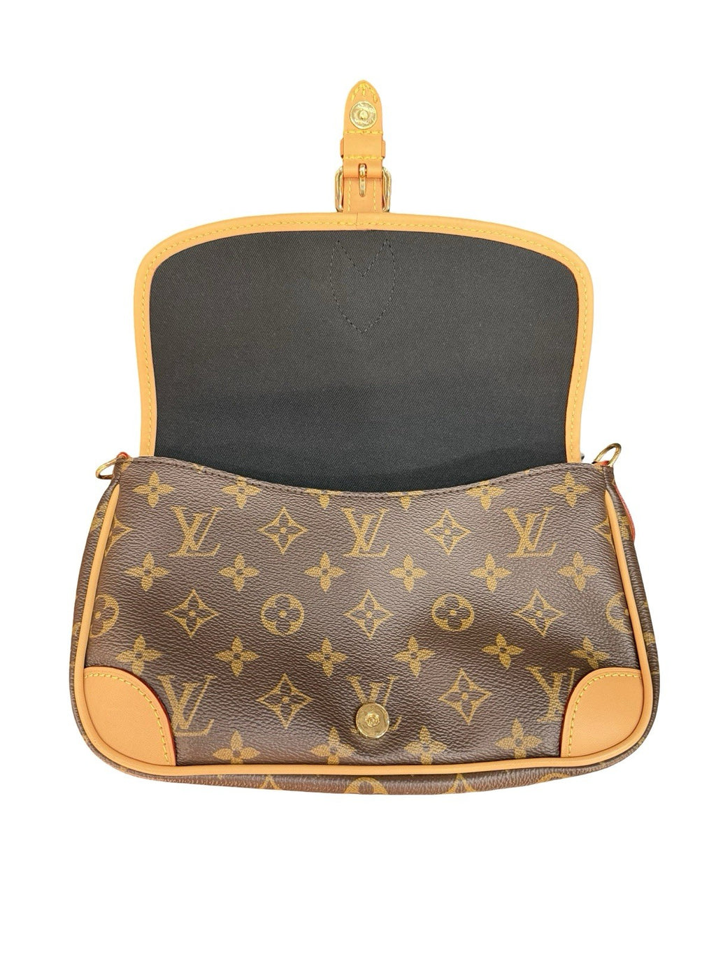 Louis Vuitton Diane Monogram Shoulder Bag