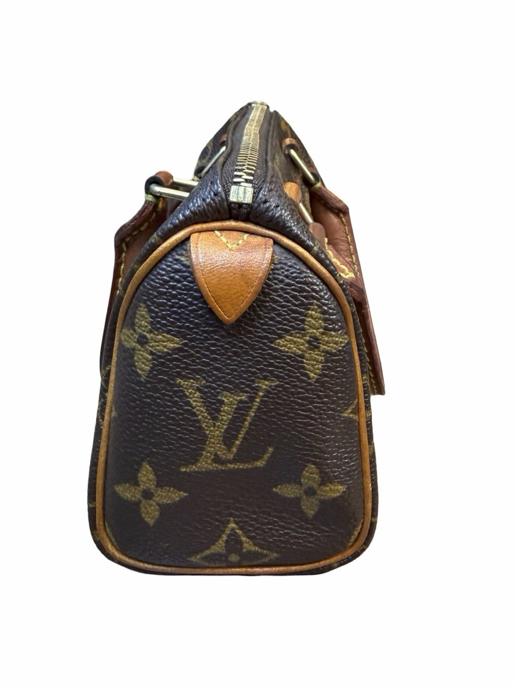 Louis Vuitton LV Monogram Speedy Nano Vintage