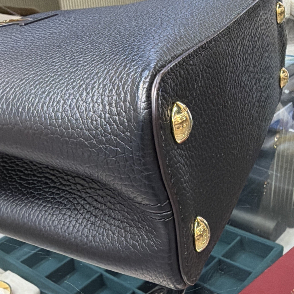 Louis Vuitton Taurillon Leather Capucines PM
