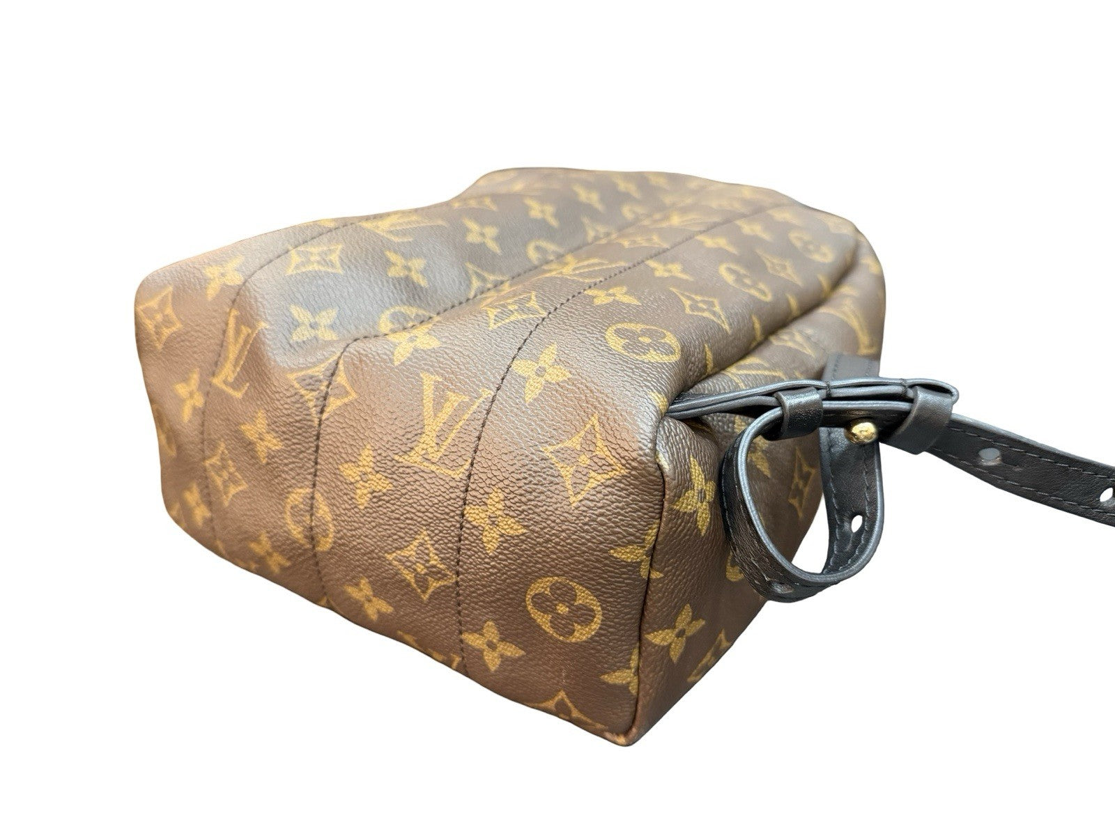 Louis Vuitton Palm Springs Backpack Monogram Canvas PM