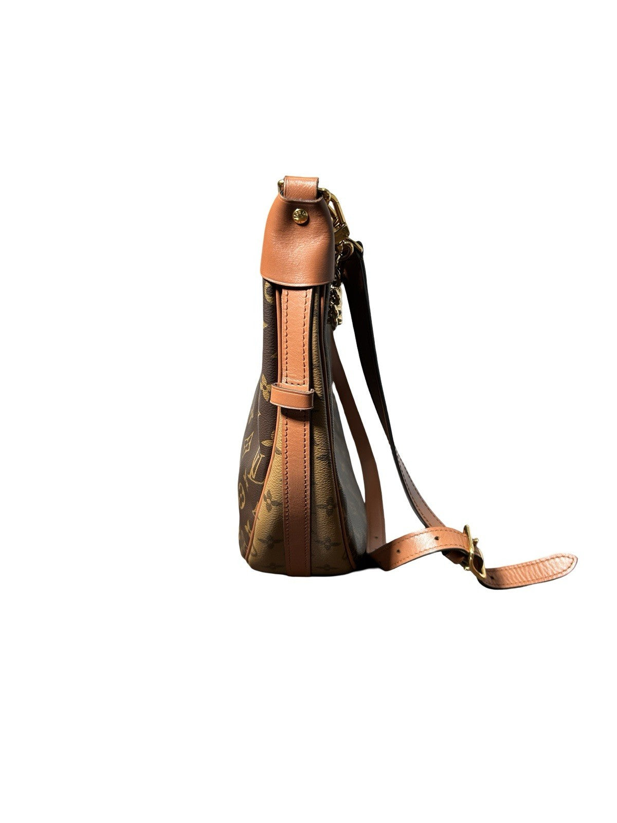 Louis Vuitton LV Monogram Loop