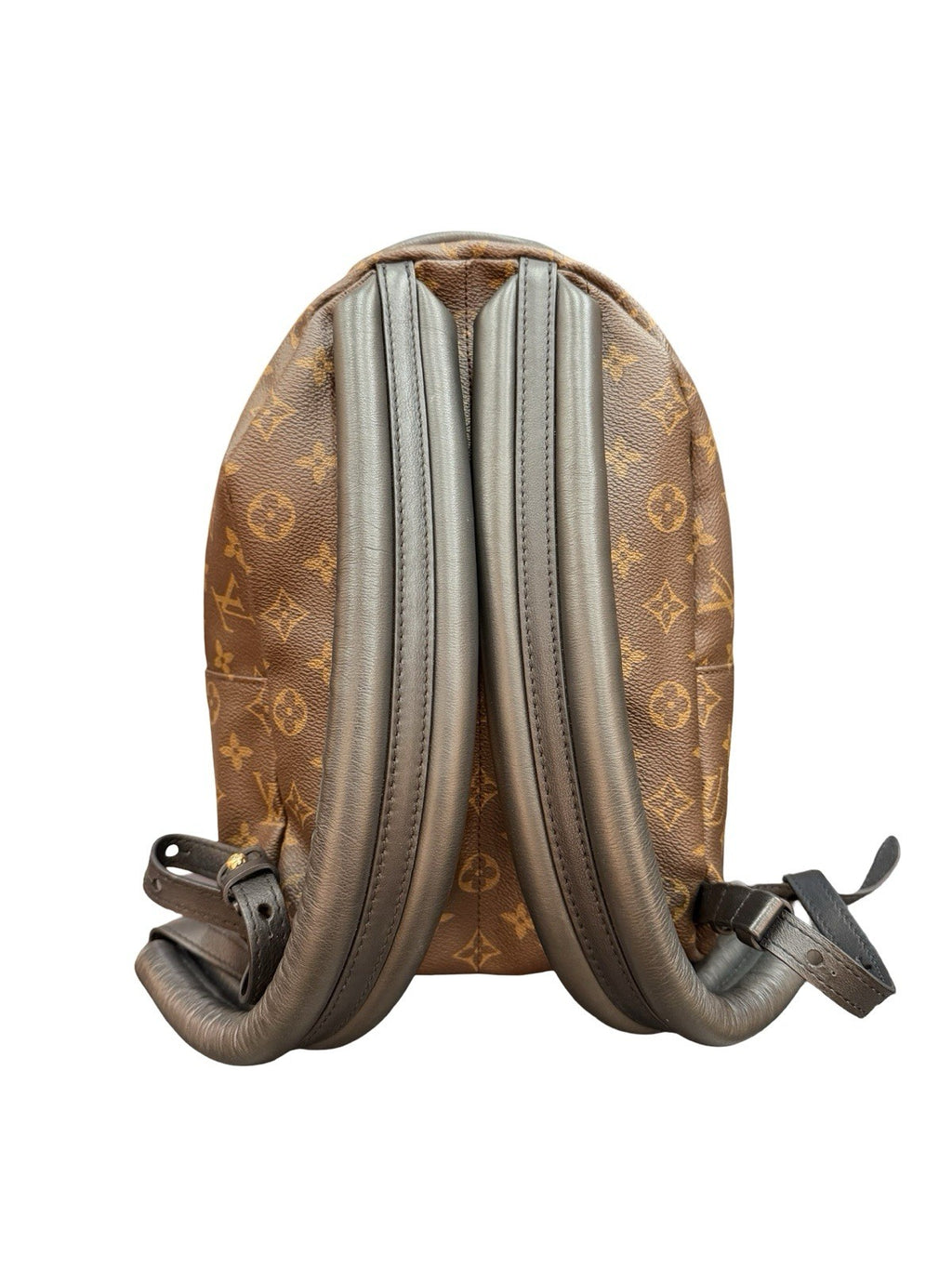 Louis Vuitton Palm Springs Backpack Monogram Canvas PM