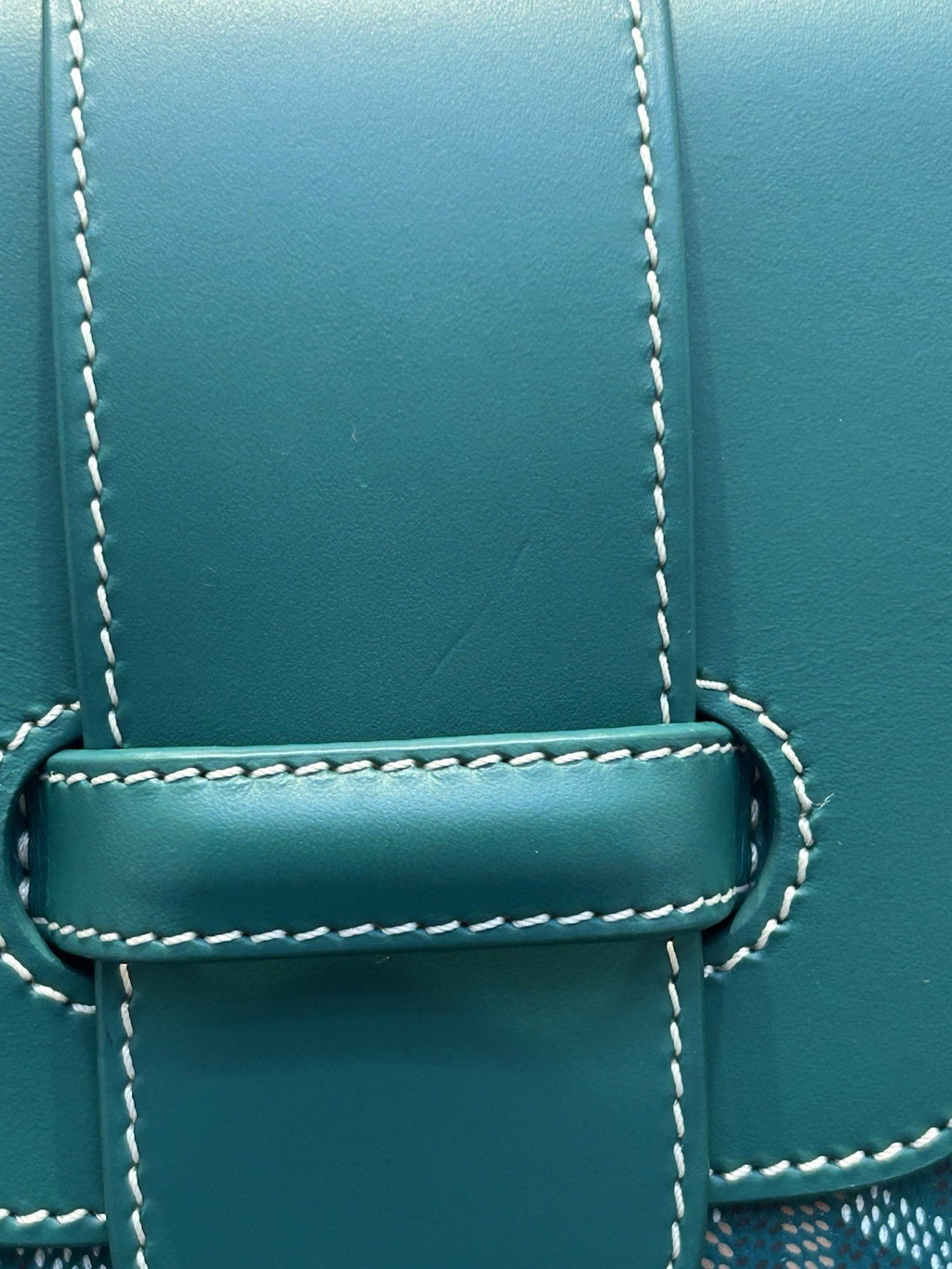 Goyard  Goyardine Saigon Green Top Handle  Bag