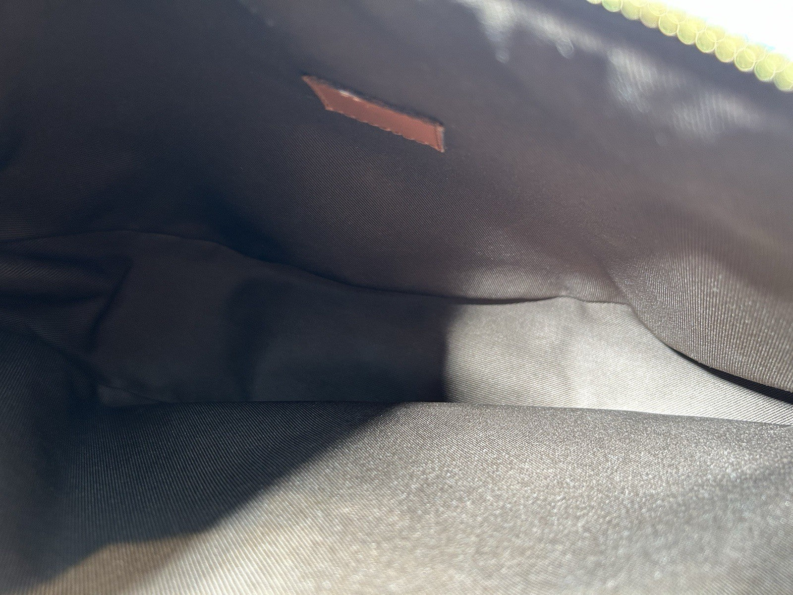 Louis Vuitton LV Monogram Loop