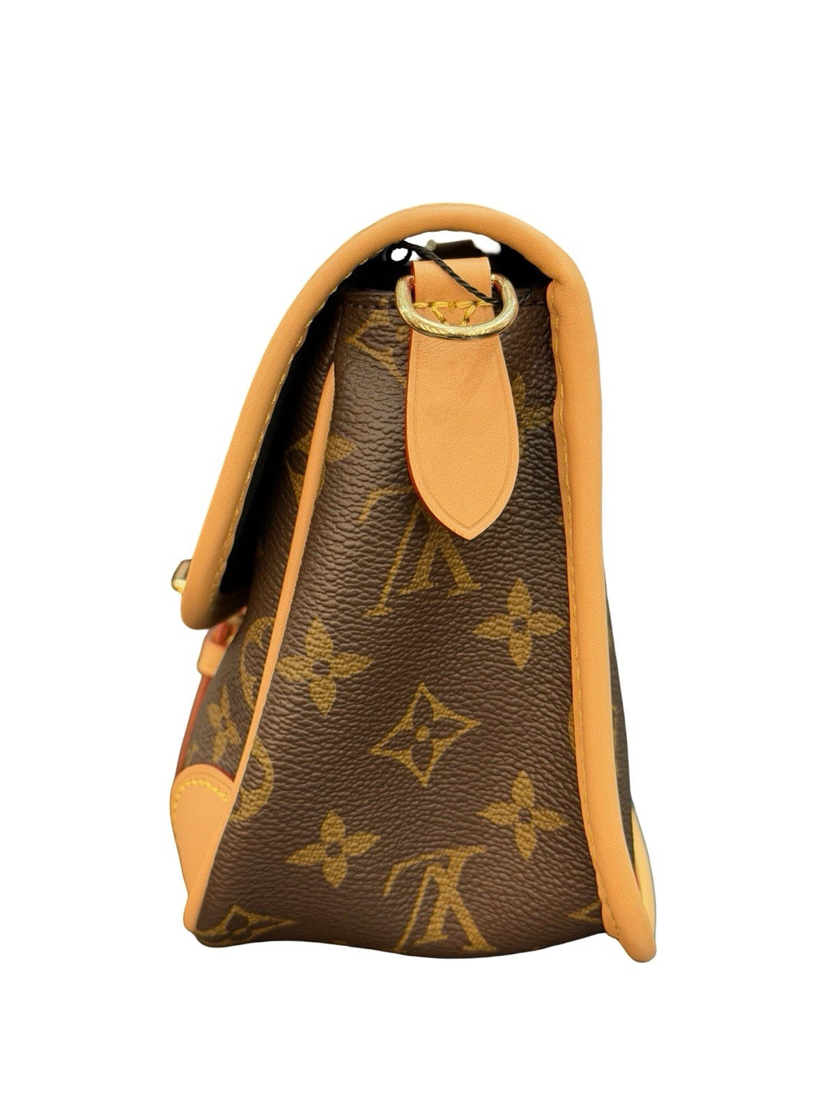 Louis Vuitton Diane Monogram Shoulder Bag