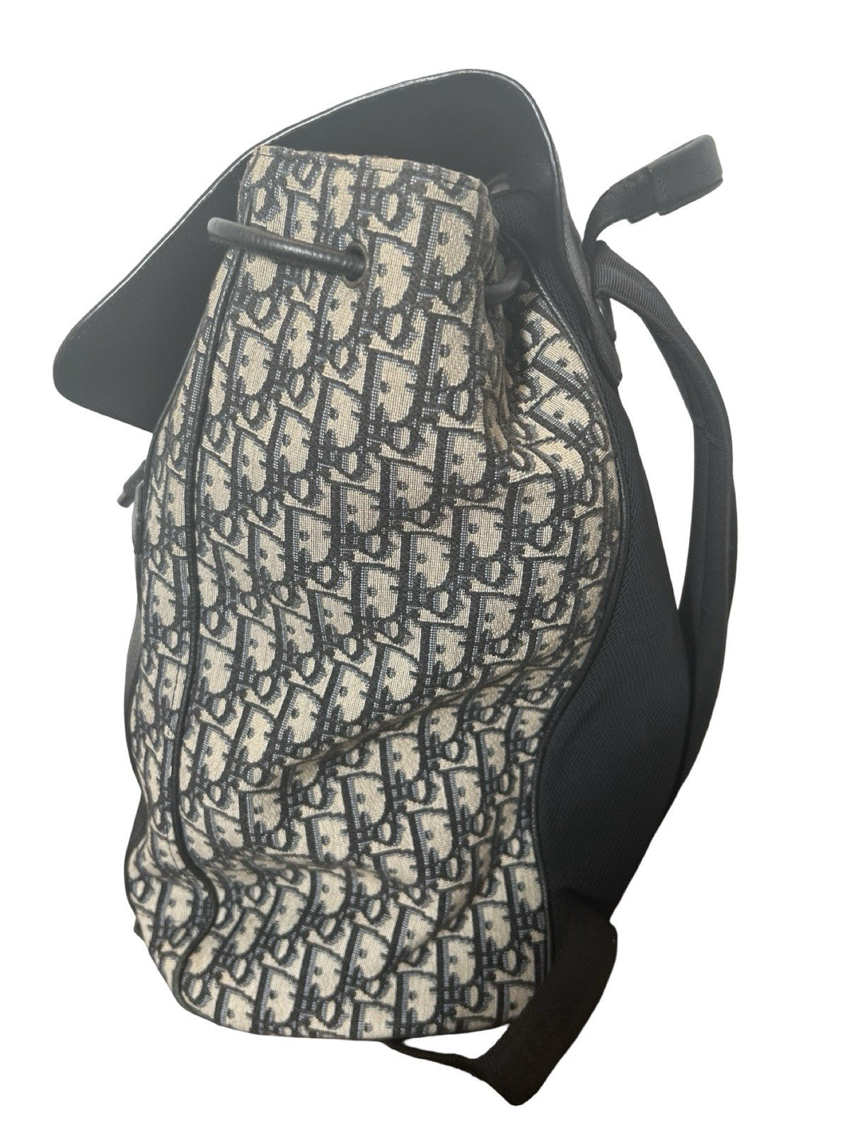 Christian Dior Oblique Canvas Essential backpack
