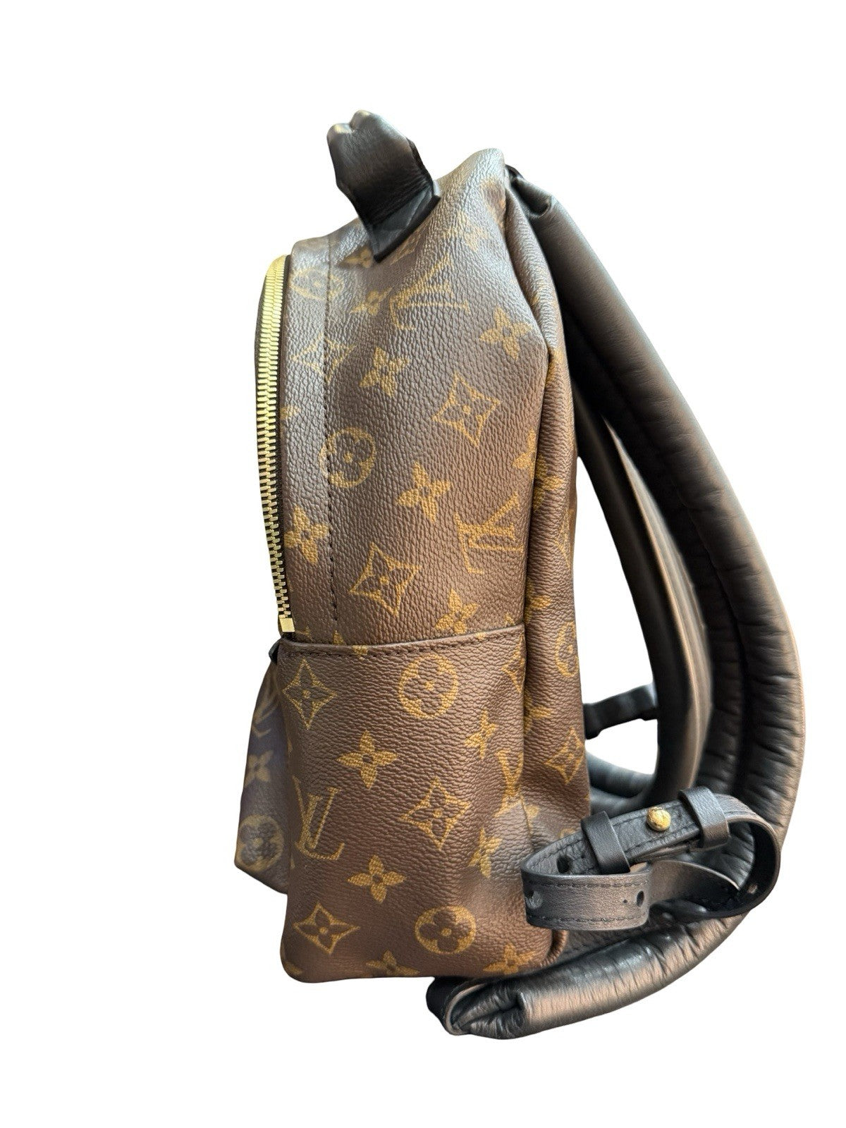 Louis Vuitton Palm Springs Backpack Monogram Canvas PM