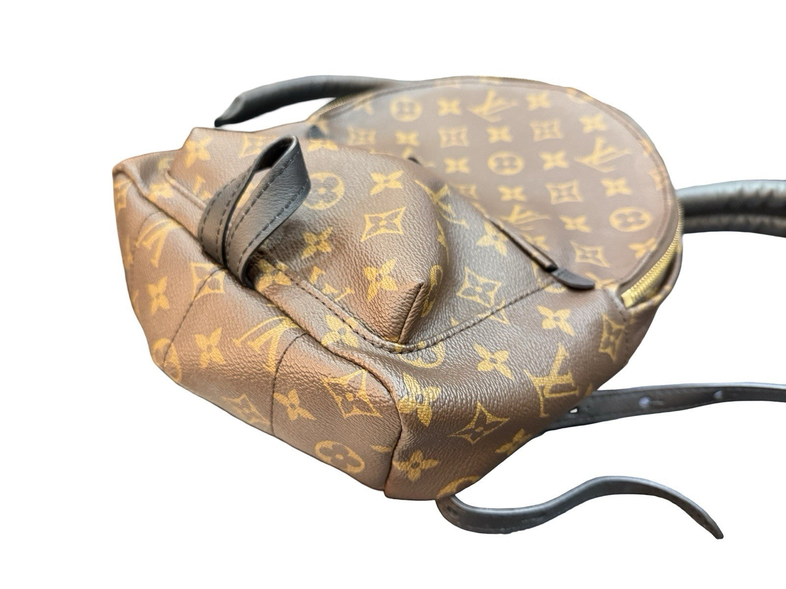 Louis Vuitton Palm Springs Backpack Monogram Canvas PM