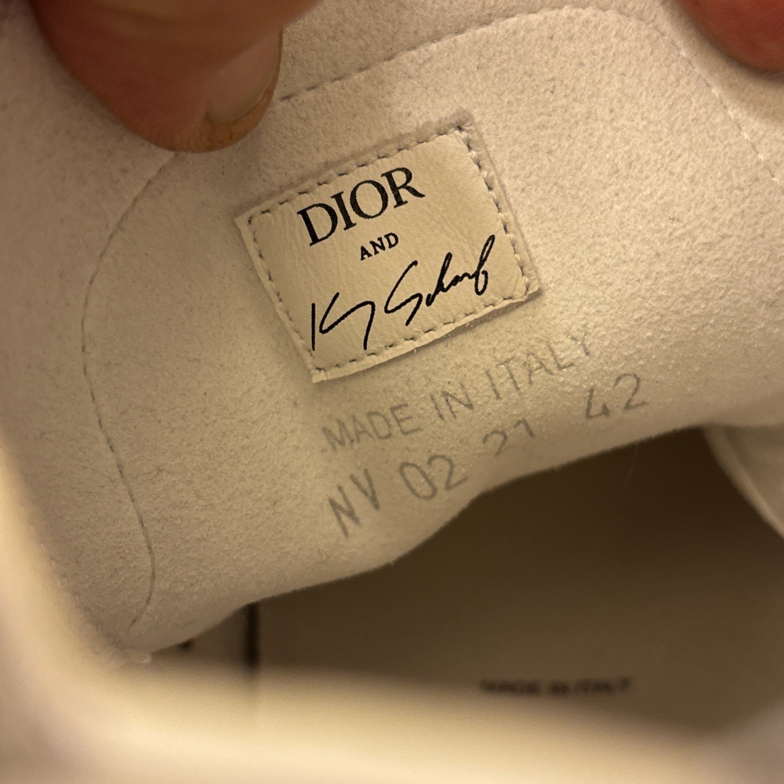 dior b23 high top sneakers