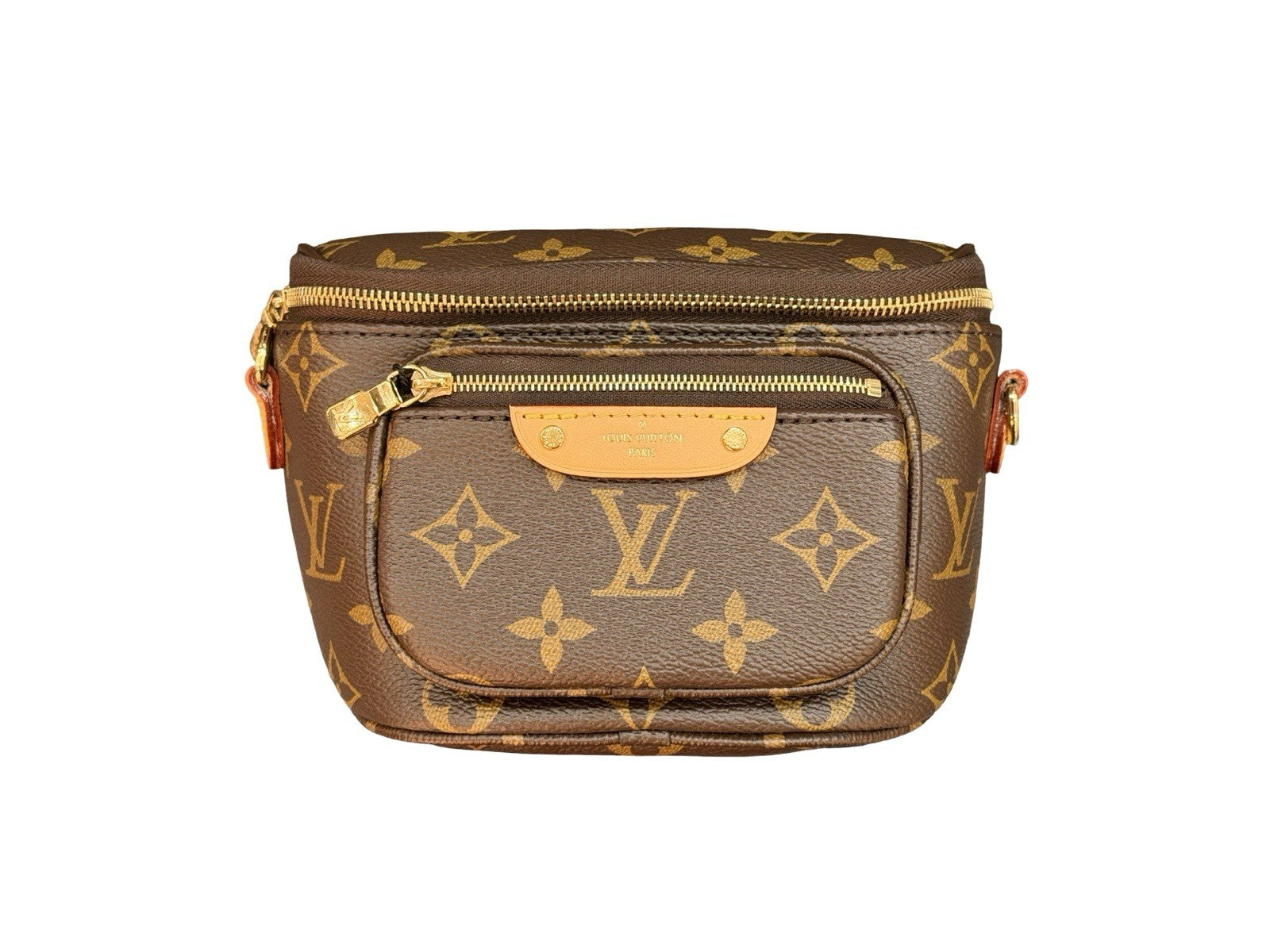 Louis Vuitton Mini Bumbag Monogram Canvas