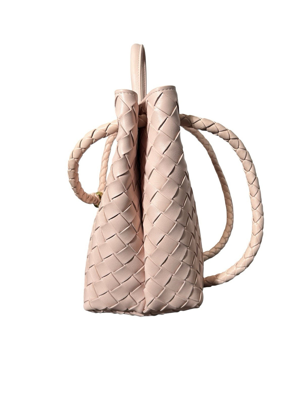 Bottega Veneta Medium Andiamo Bag