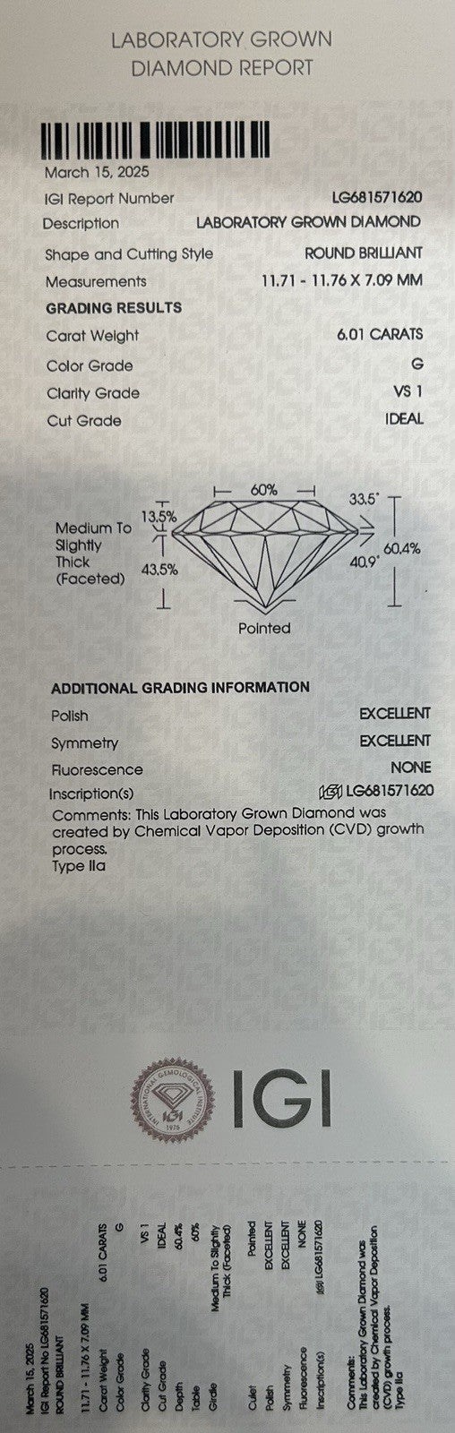6.01 CARATS Round Brilliant In Hidden Halo Setting, 14K White Gold
