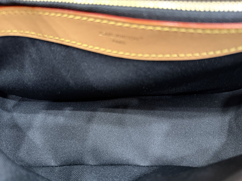 Louis Vuitton Diane Monogram Shoulder Bag
