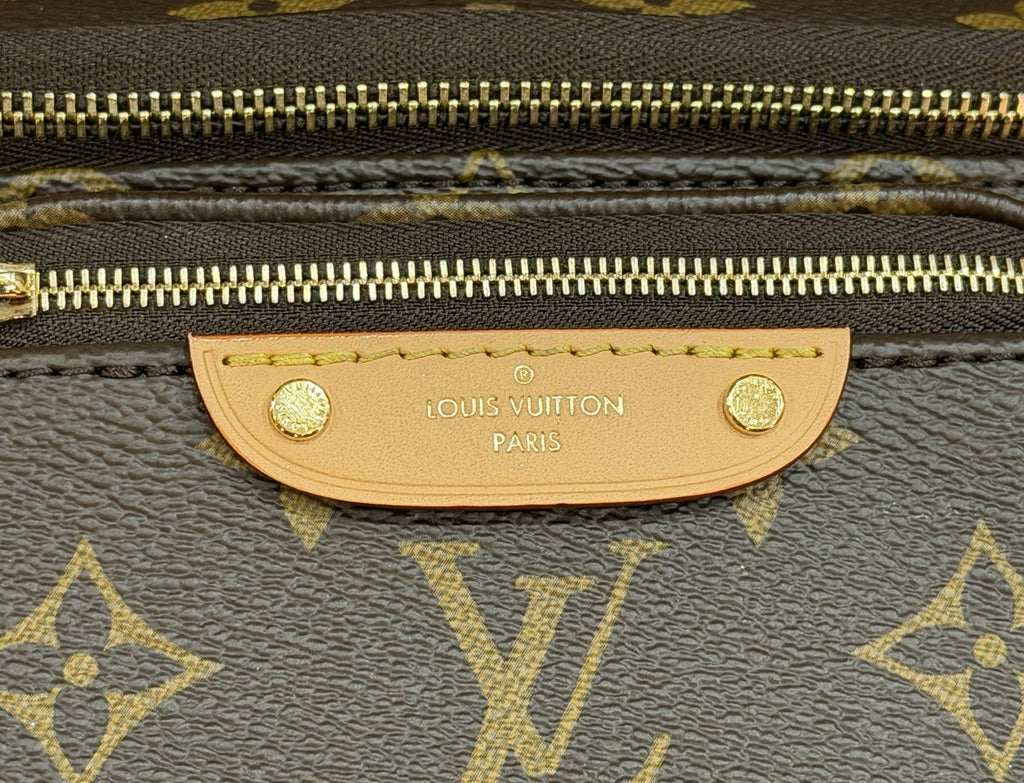 Louis Vuitton Mini Bumbag Monogram Canvas