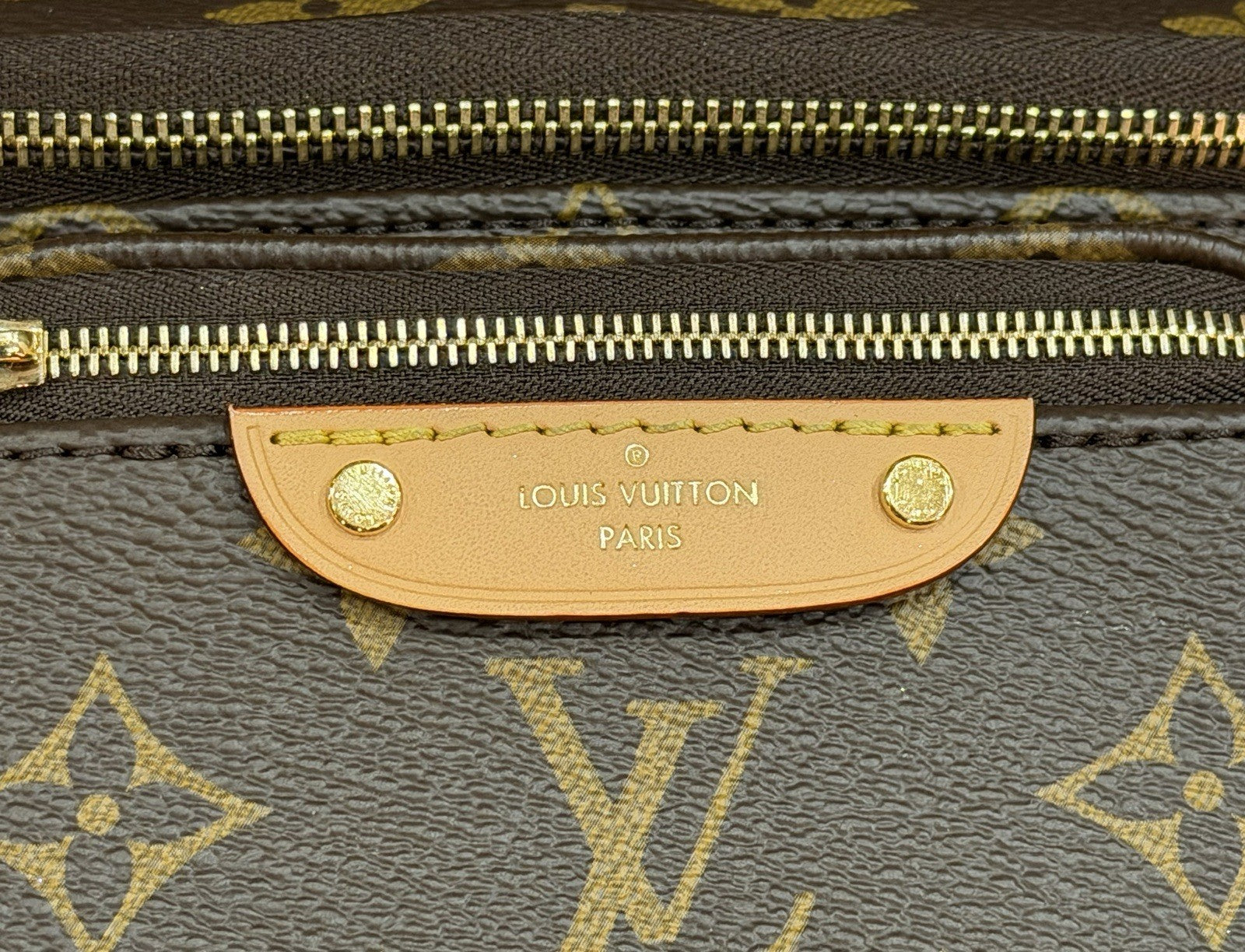Louis Vuitton Mini Bumbag Monogram Canvas