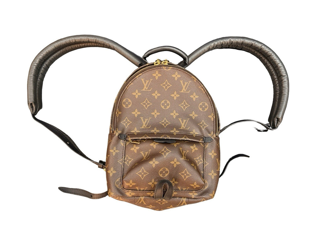 Louis Vuitton Palm Springs Backpack Monogram Canvas PM