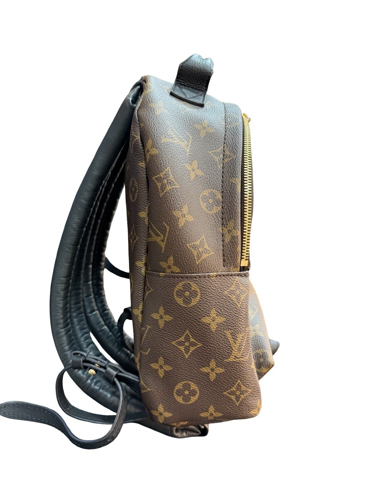 Louis Vuitton Palm Springs Backpack Monogram Canvas PM
