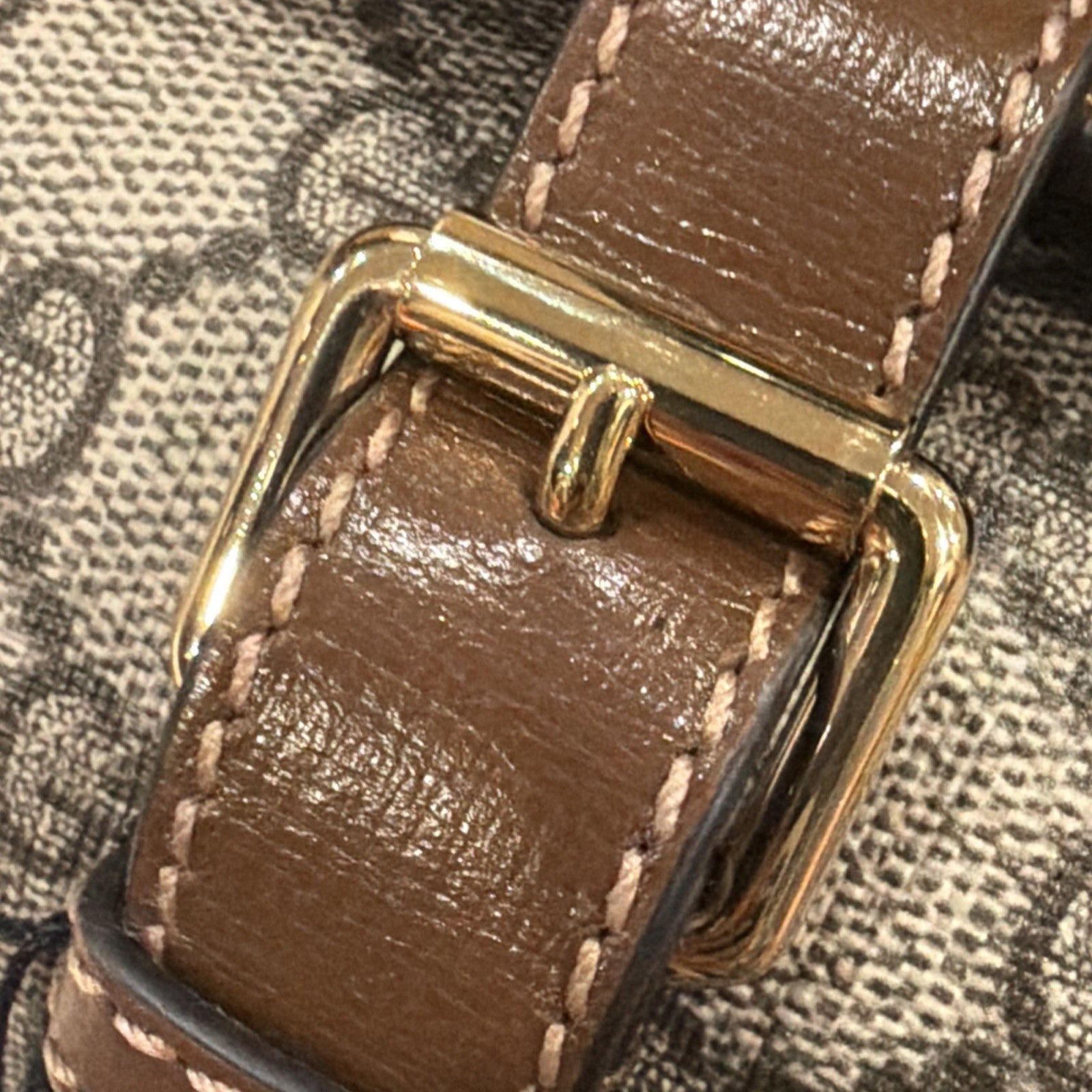 Gucci GG Supreme Canvas Leather Beige Brown Watch Case
