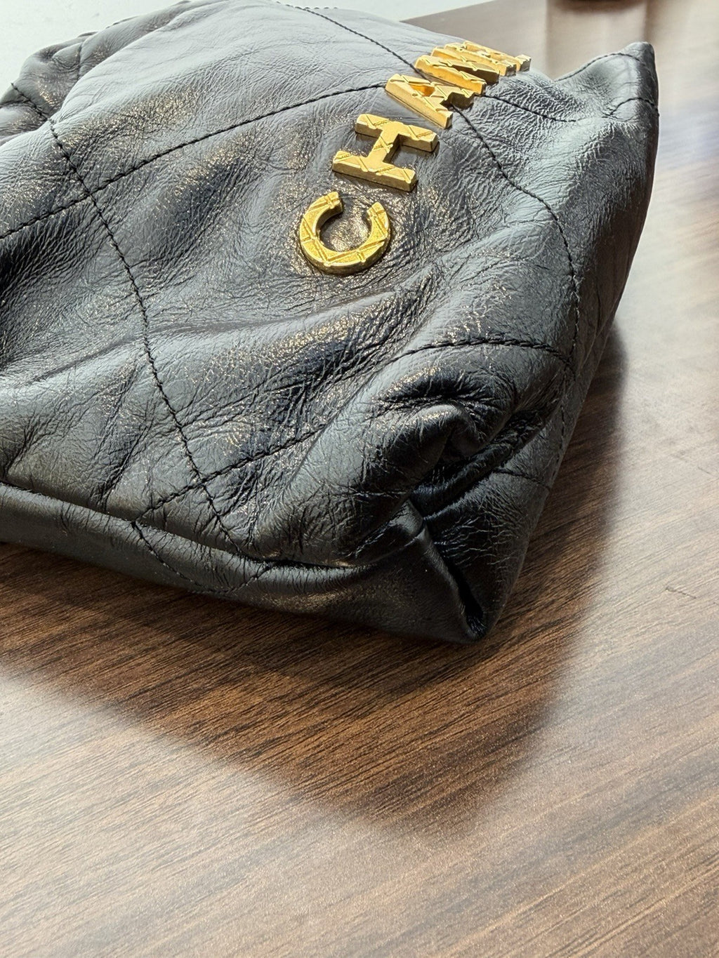 Chanel 22 Mini Hobo Pearls Shoulder Bag