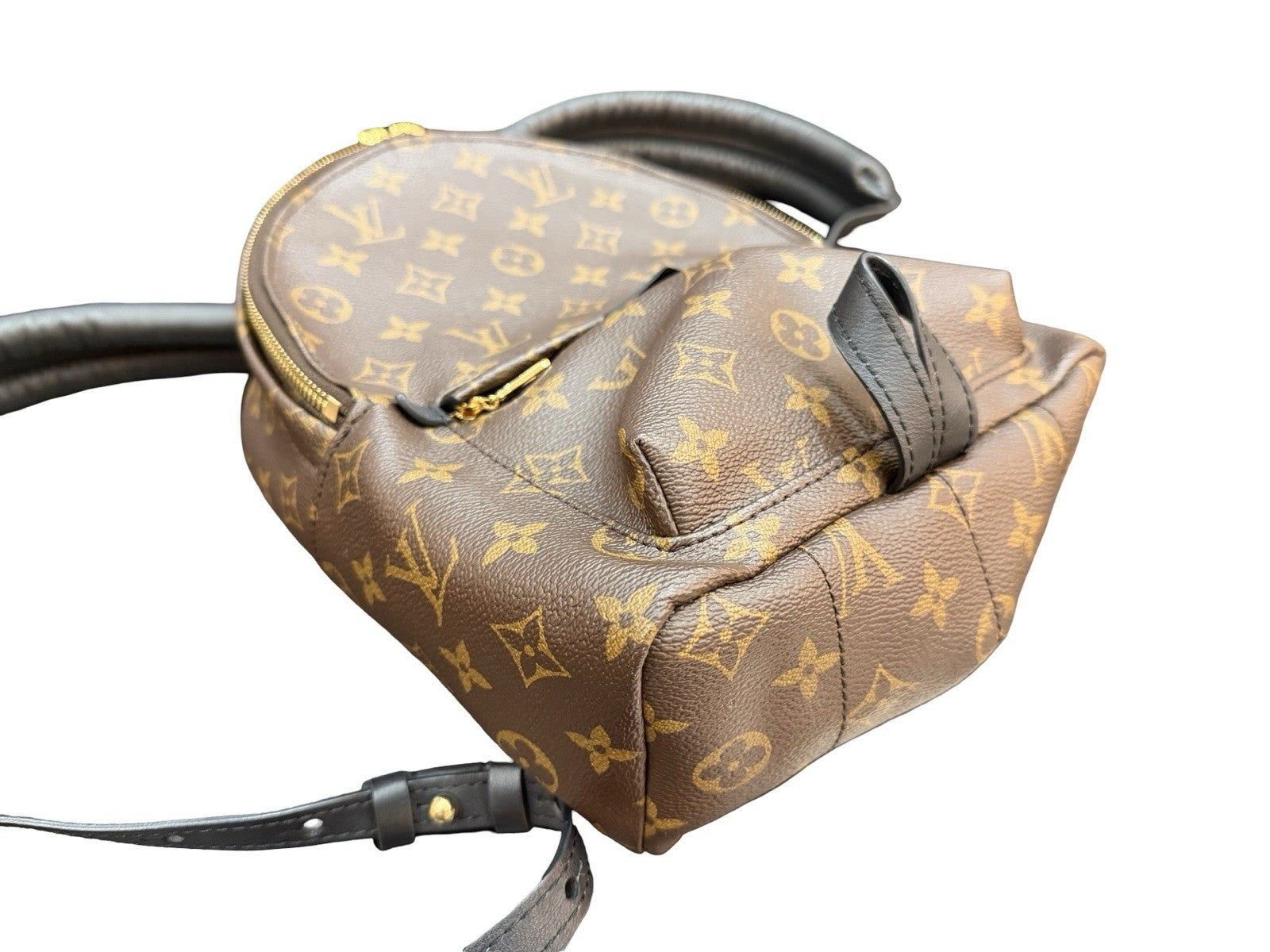 Louis Vuitton Palm Springs Backpack Monogram Canvas PM