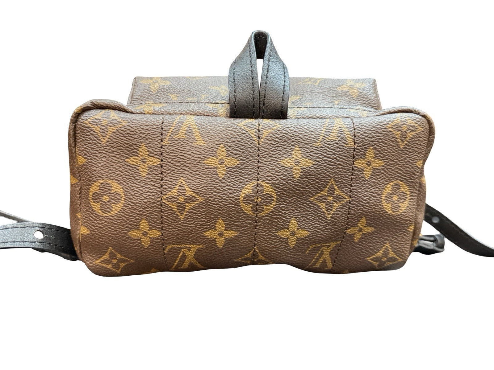 Louis Vuitton Palm Springs Backpack Monogram Canvas PM