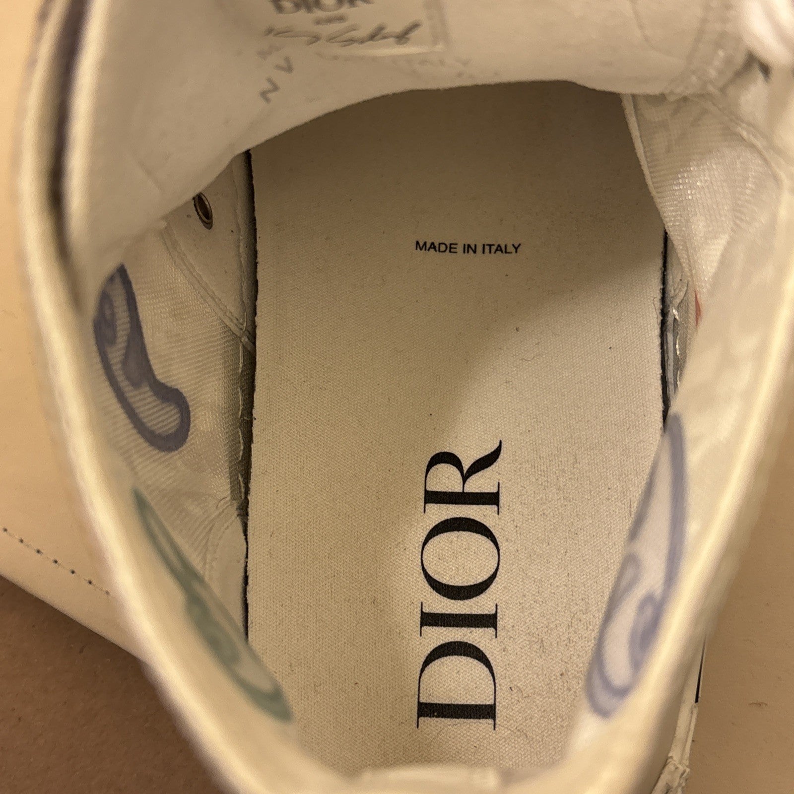 dior b23 high top sneakers