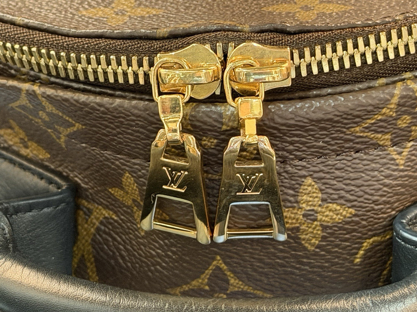 Louis Vuitton Palm Springs Backpack Monogram Canvas PM