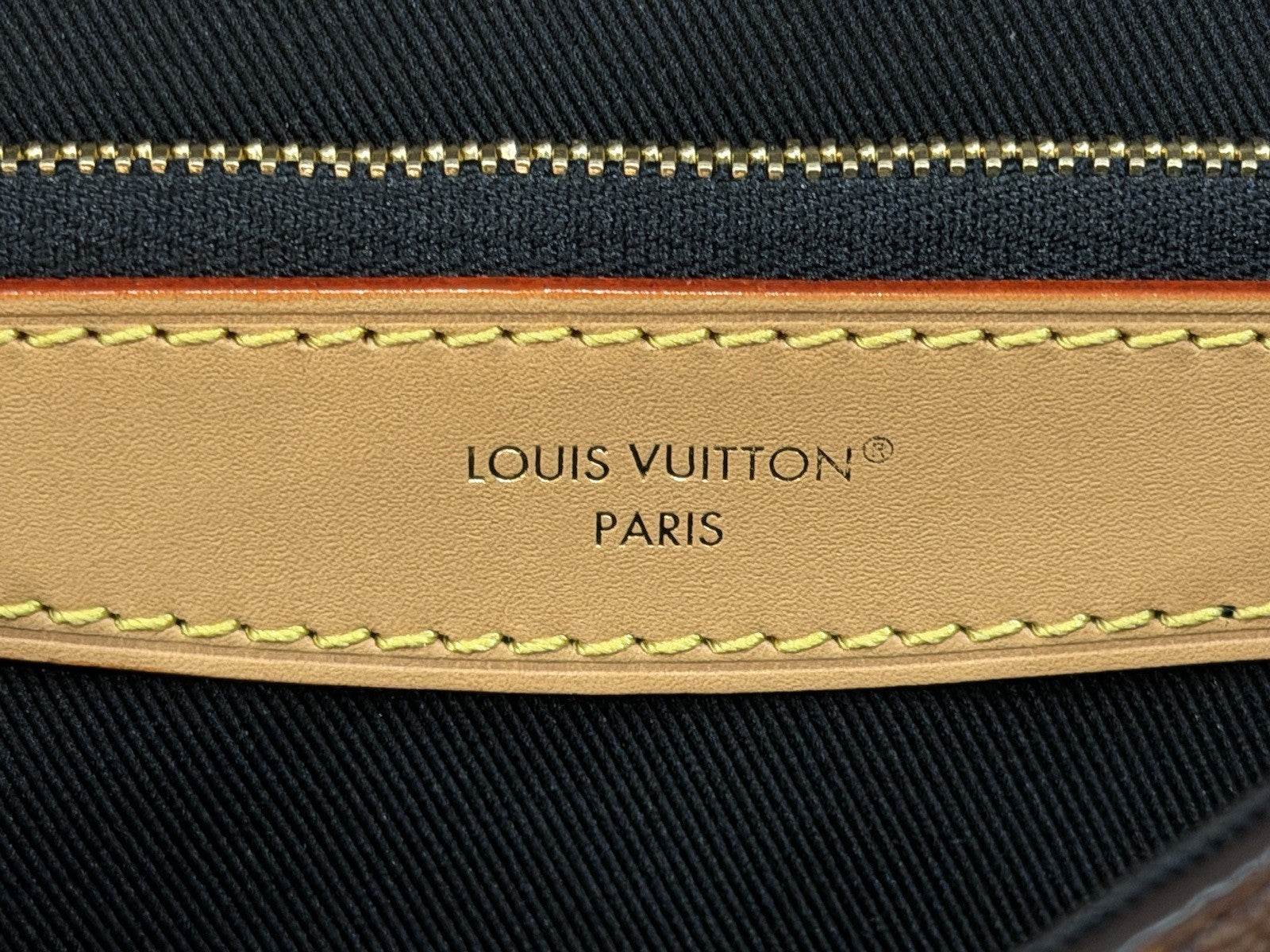 Louis Vuitton Diane Monogram Shoulder Bag
