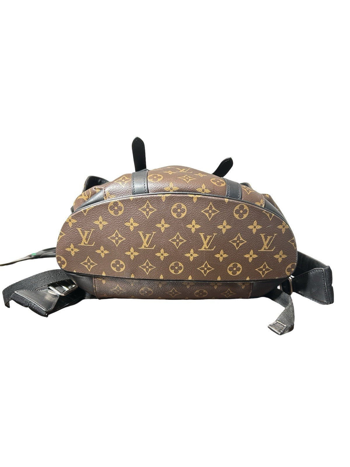 Louis Vuitton LV Monogram Monogram Macassar Christopher MM