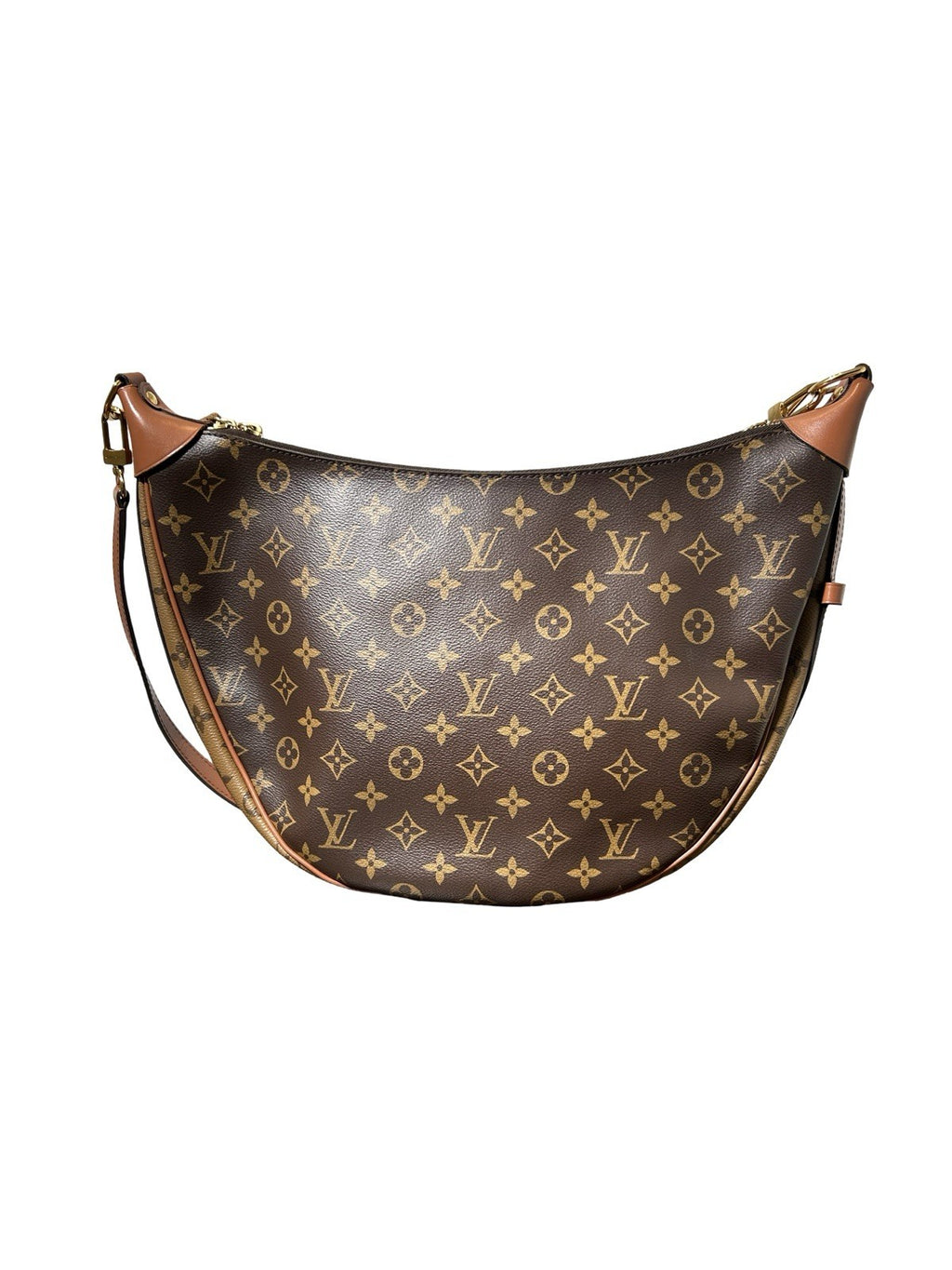 Louis Vuitton LV Monogram Loop