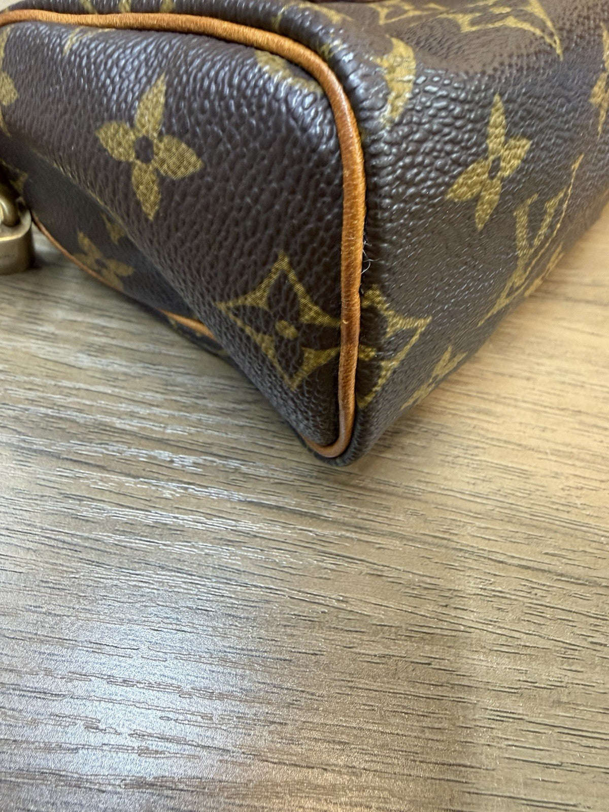 Louis Vuitton LV Monogram Speedy Nano Vintage