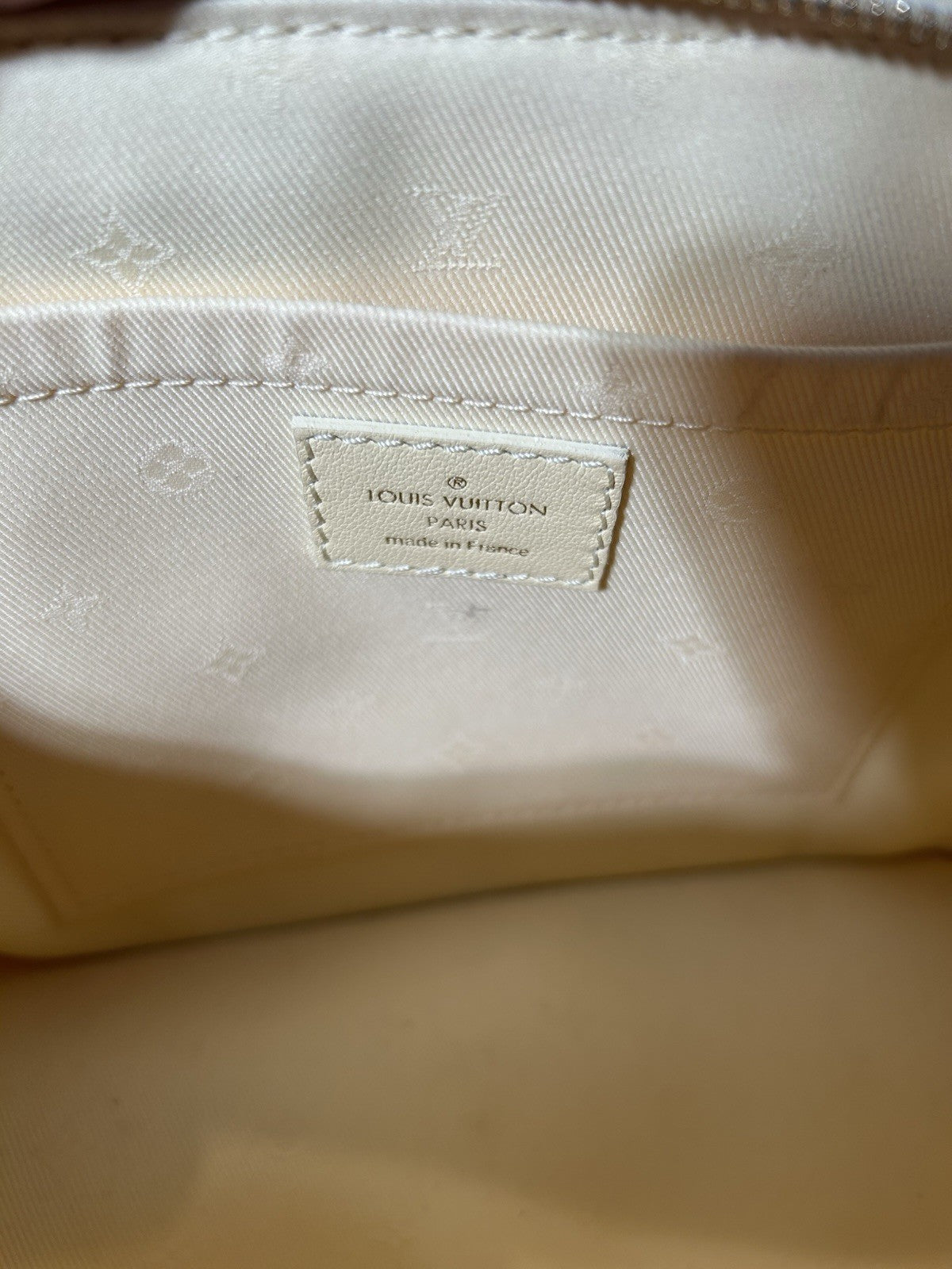 Louis Vuitton Alma BB Bubblegram handbag